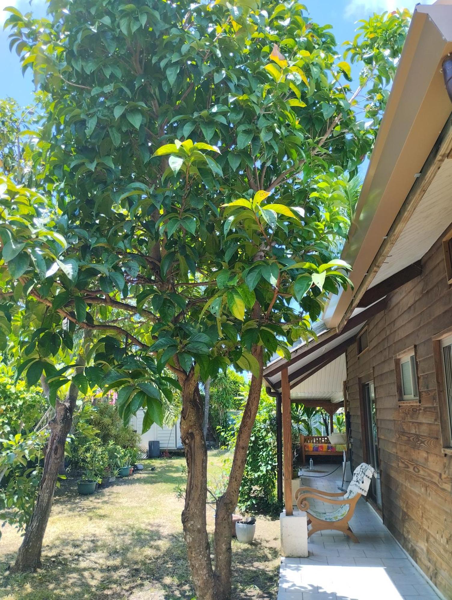 Tema'E Beach House Temae Εξωτερικό φωτογραφία